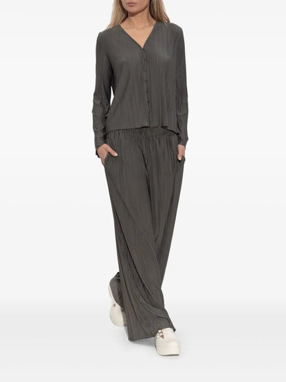 Pleated Trousers