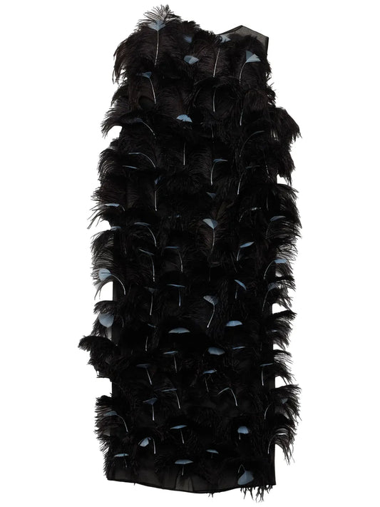Feather-Embellished Silk Organza Dress