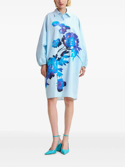 Hoses Shirt Dress