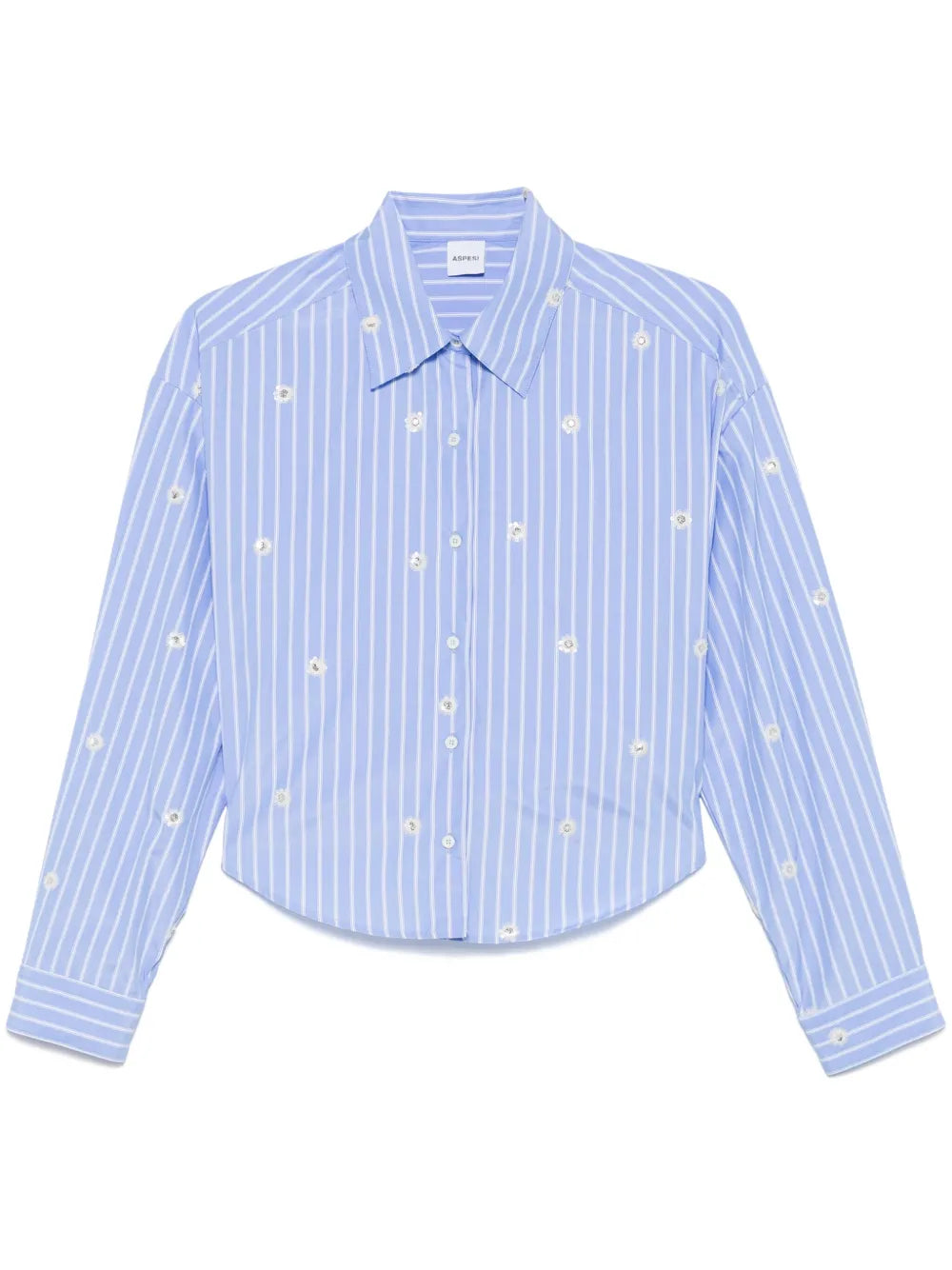 Striped Shirt