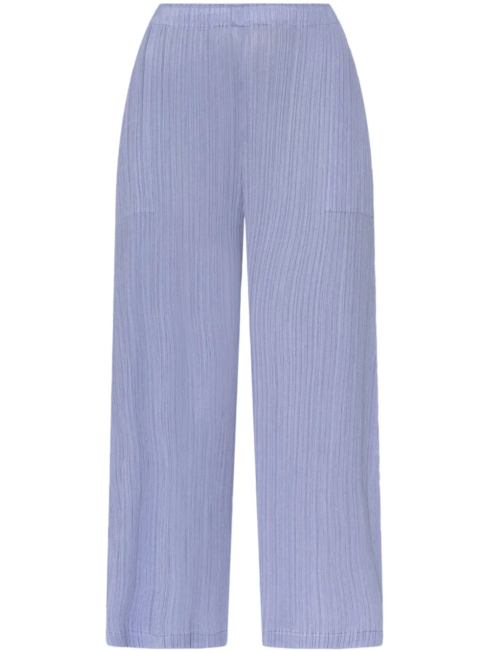 Pleated Trousers
