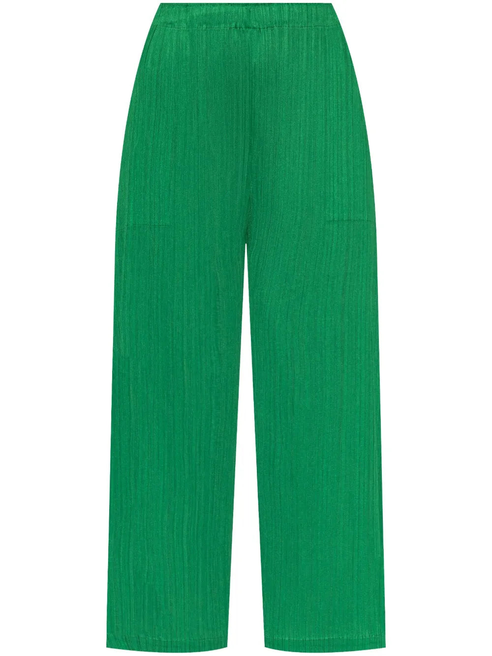 Pleated Trousers