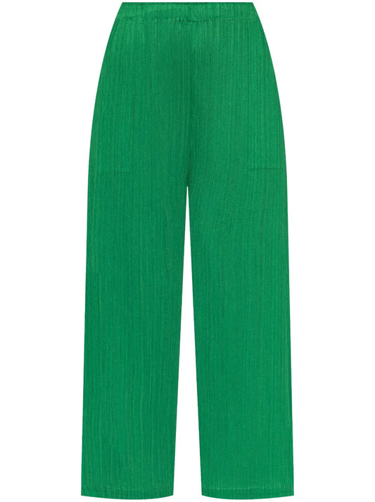 Pleated Trousers