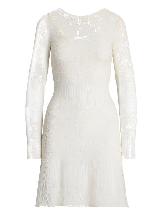 Lace-Embroidered Minidress