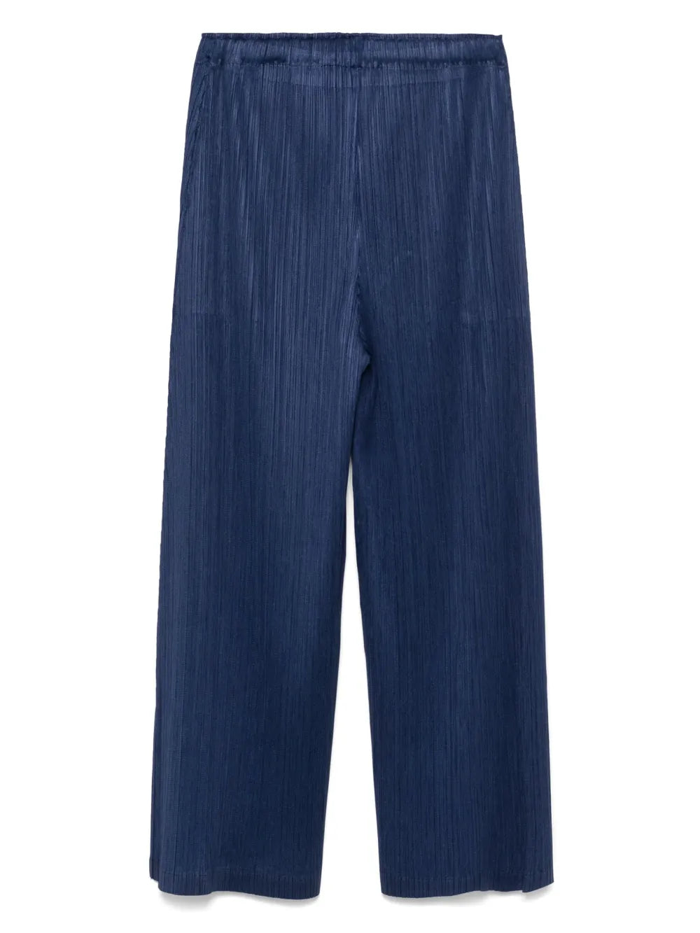 Pleated Trousers