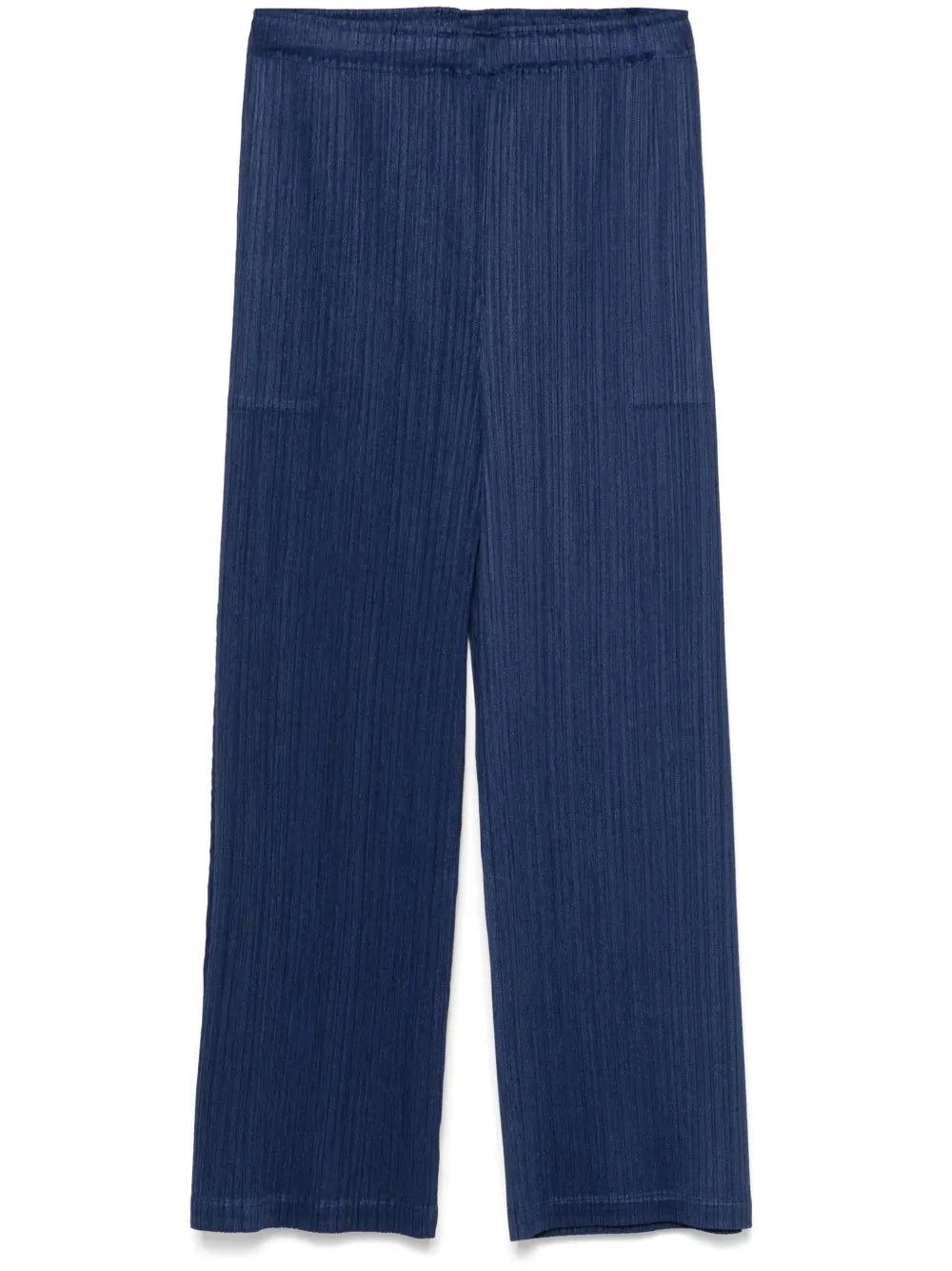 Pleated Trousers