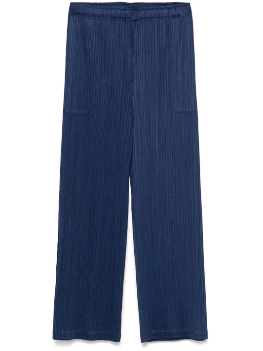 Pleated Trousers