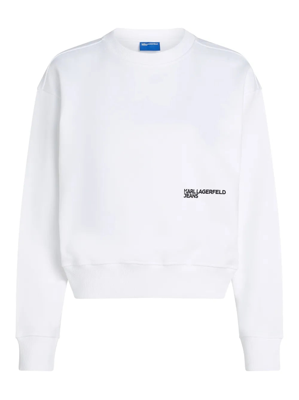 Regular Box Floral Sweatshirt