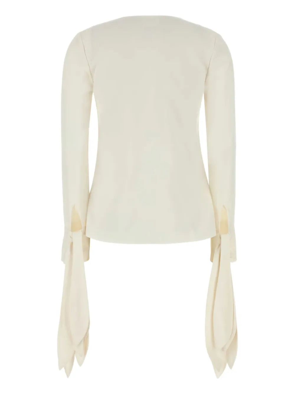 Ruffle Detailing Blouse