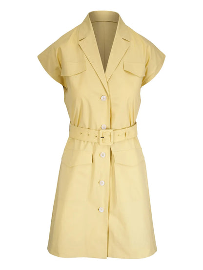Belted Mini Dress