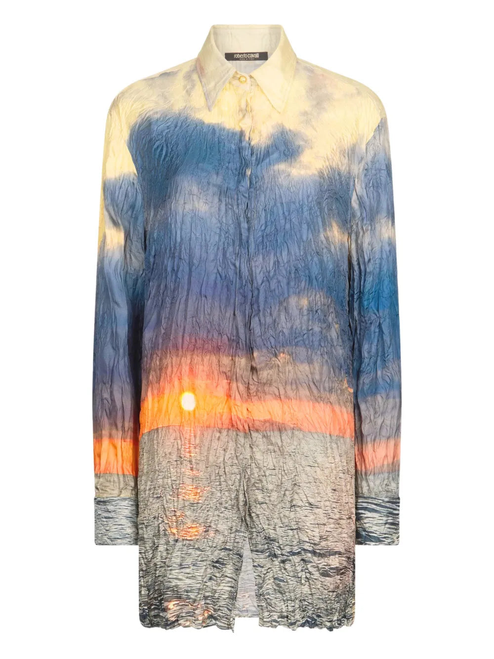 Printed Distressed Shirt