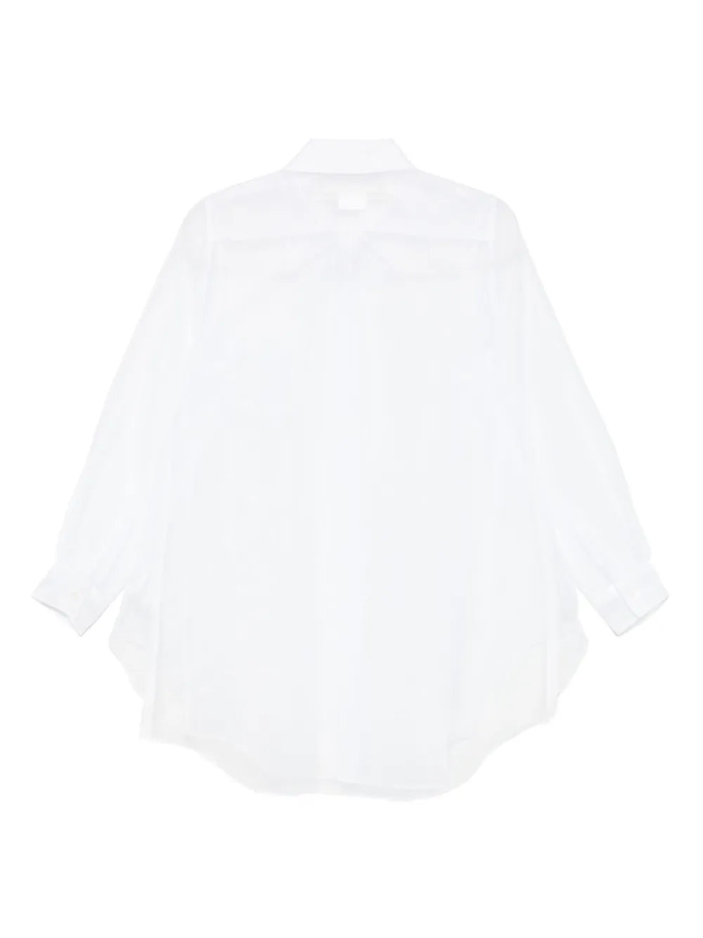 Sheer Shirt