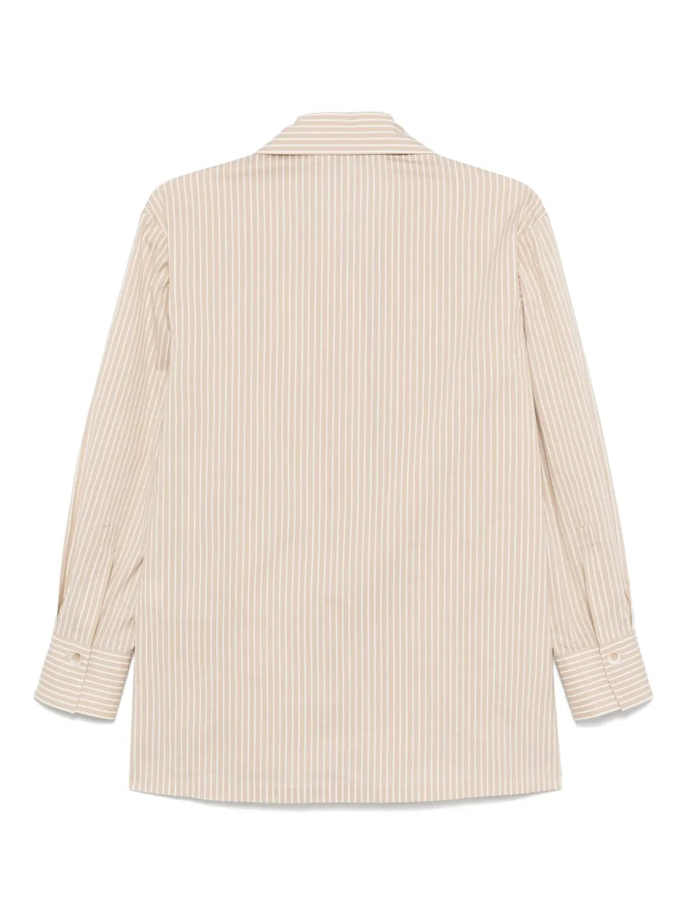 Striped Shirt