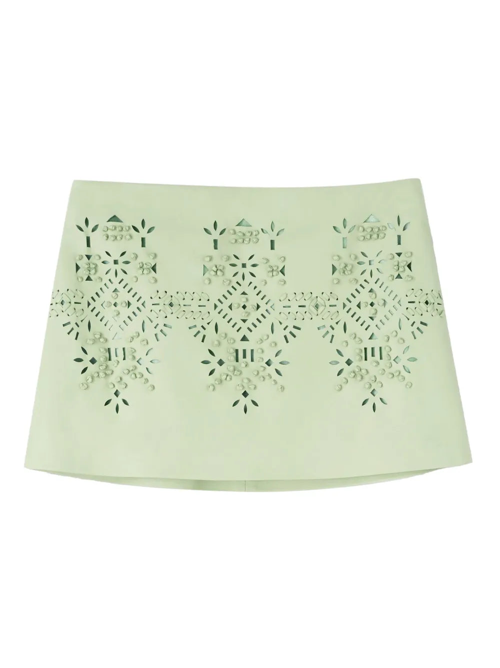 Embroidered Mini Skirt