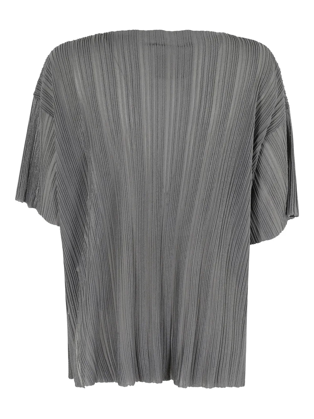 Pleated Sheer Top