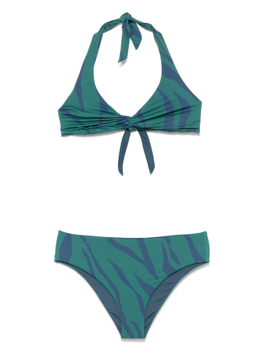 Zebra-Print Bikini