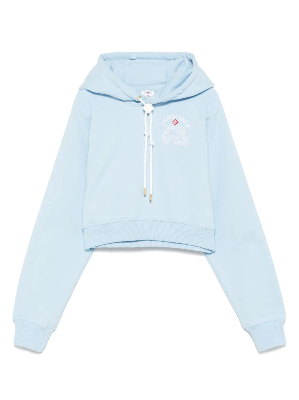 Looking At The Beauty Of The World Cropped Hoodie