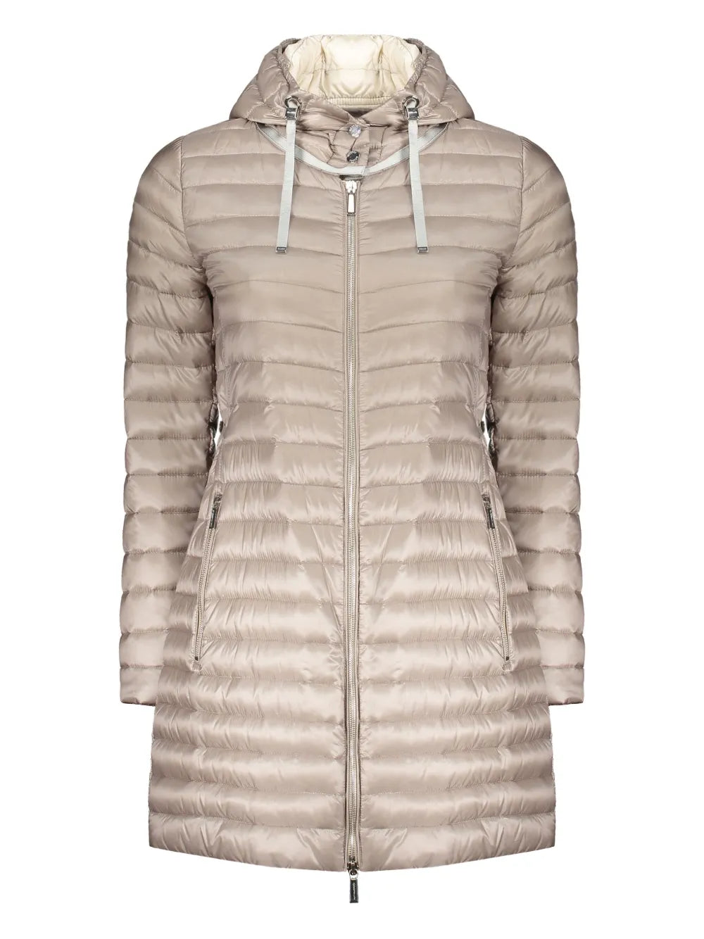 Ardisia Coat