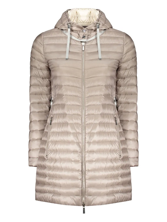Ardisia Coat