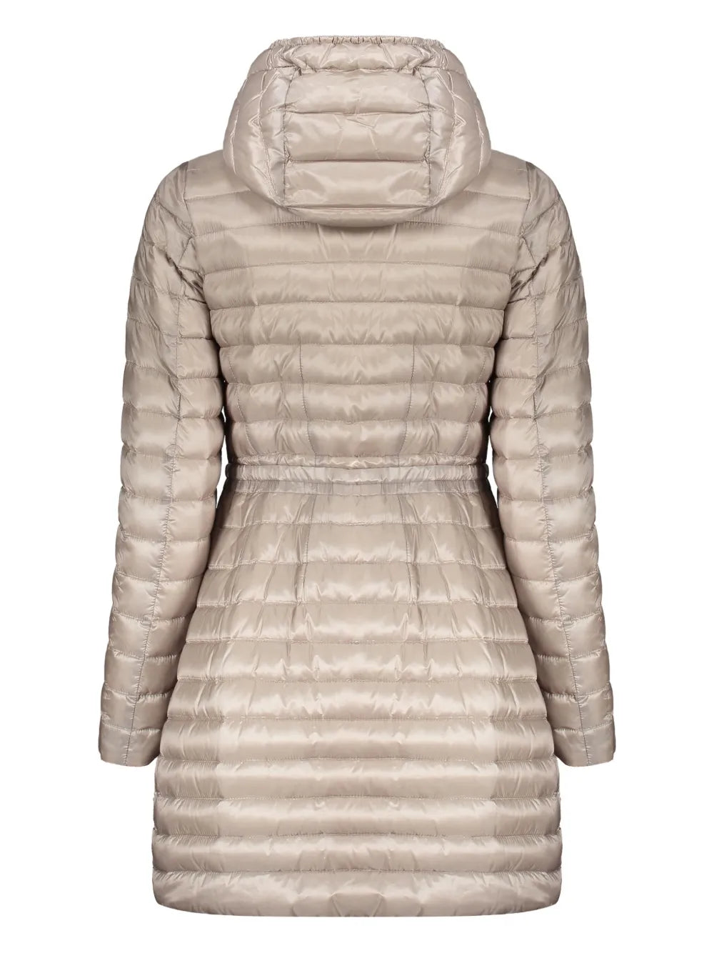 Ardisia Coat