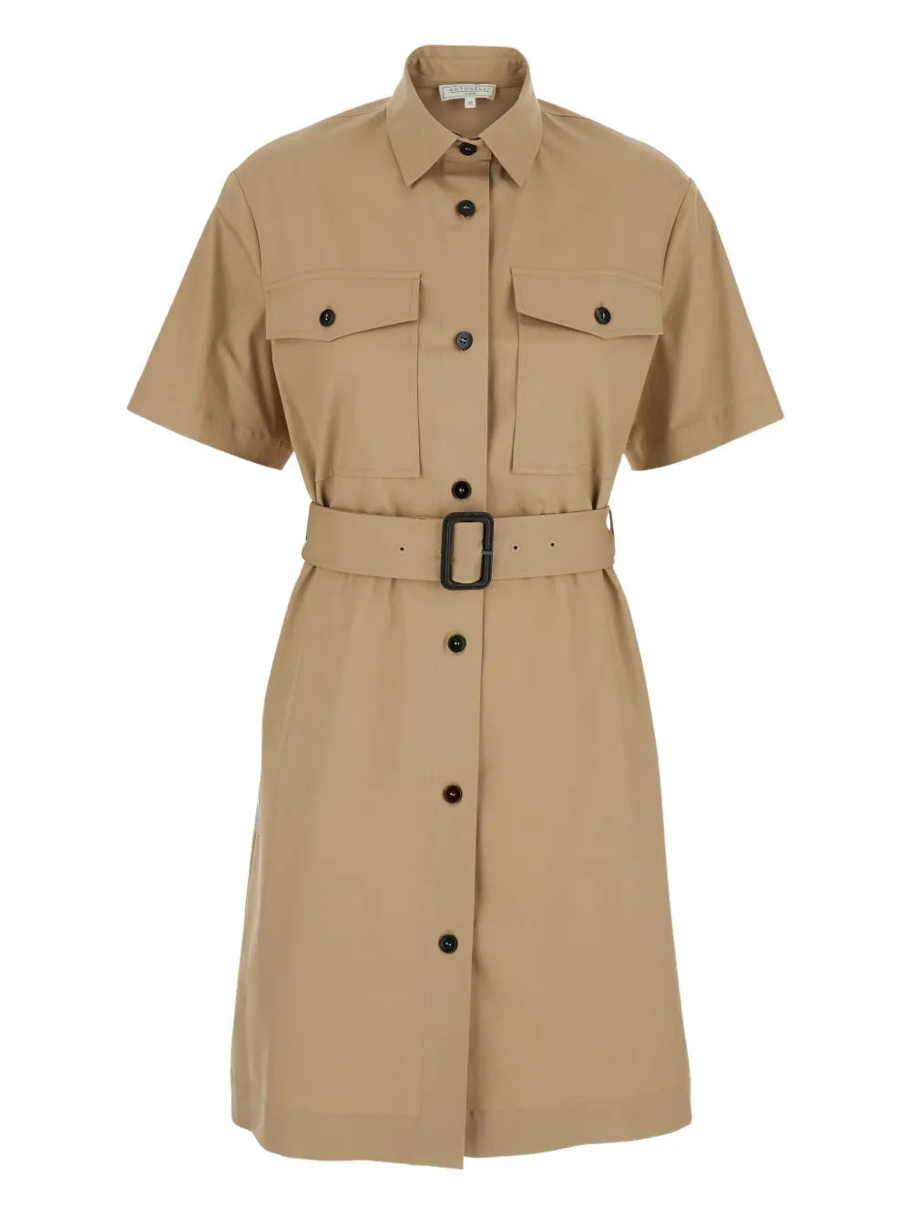 Belted Shirt Dress