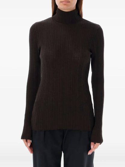 Roll-Neck Ribbed Sweater