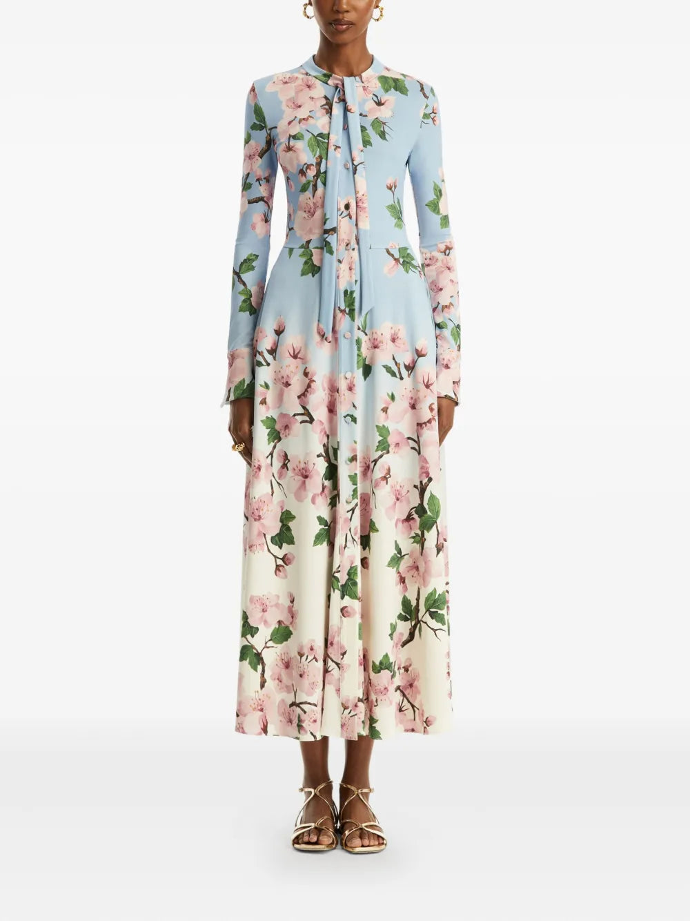 Cherry Blossom Ombré Dress