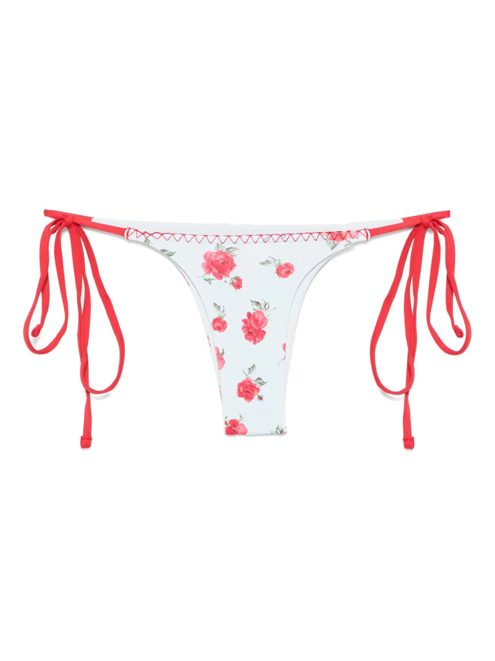 Divine Bikini Briefs