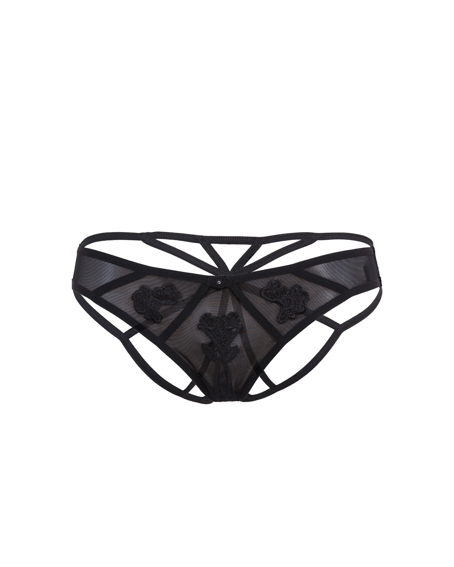 Nova Brief