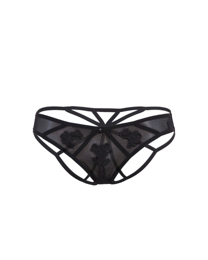 Nova Brief