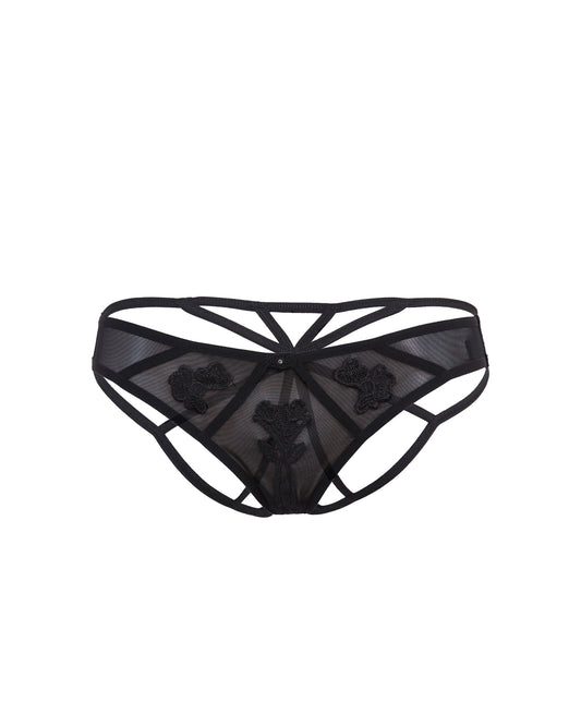 Nova Brief