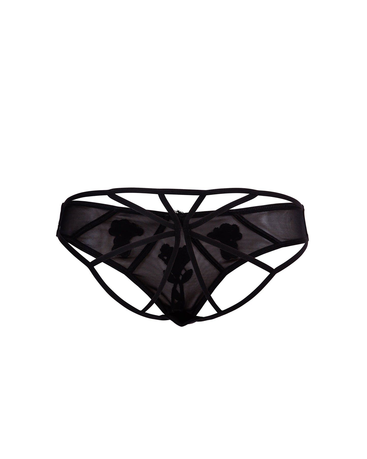 Nova Brief
