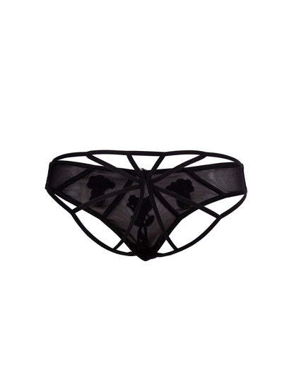 Nova Brief