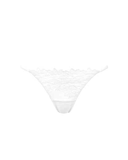 Audrey Brief