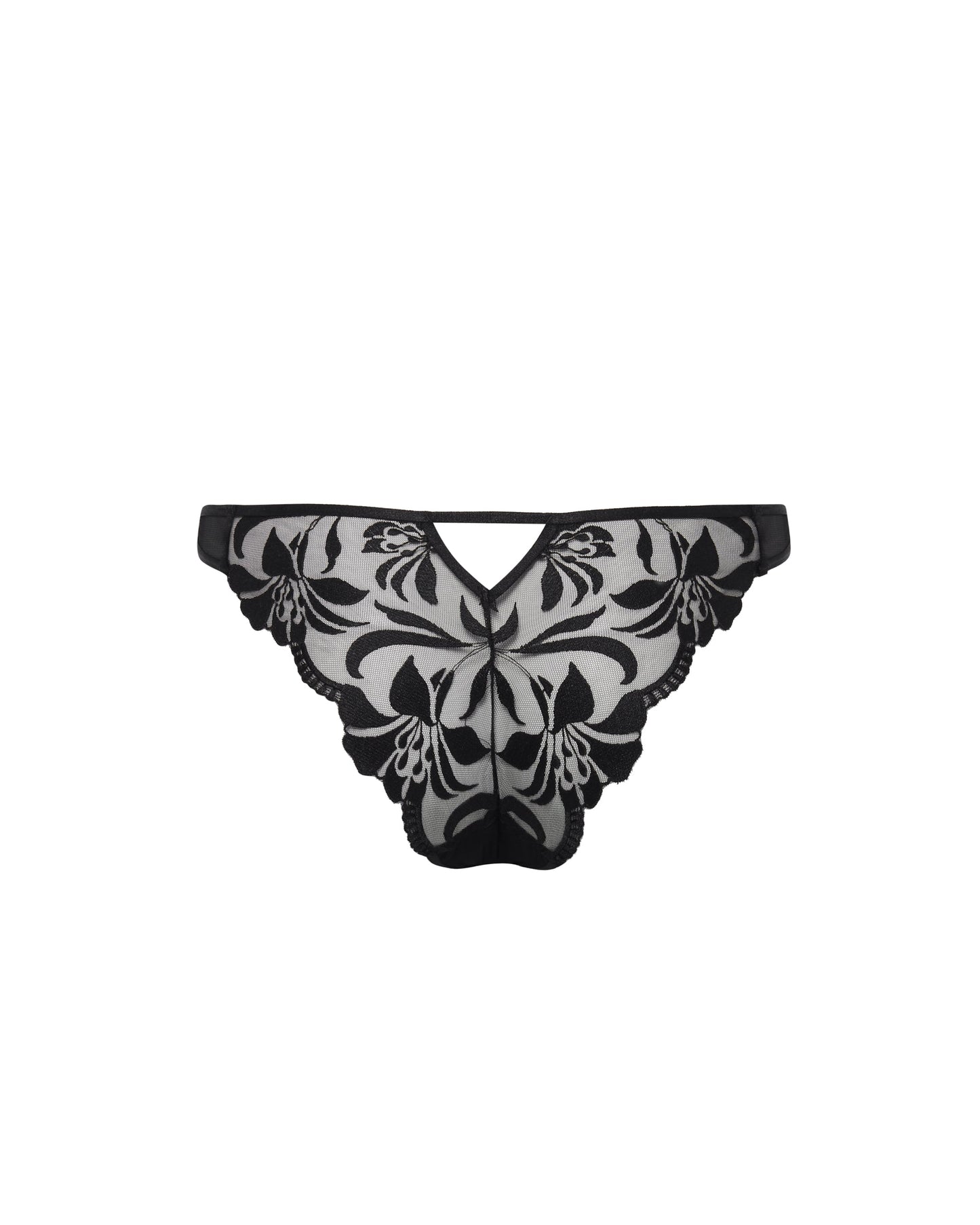 Leonora Brief