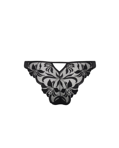 Leonora Brief