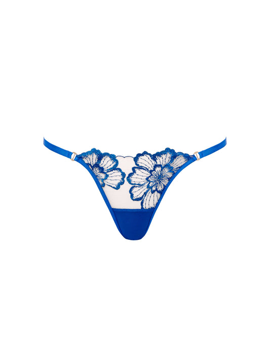 Catalina Brief