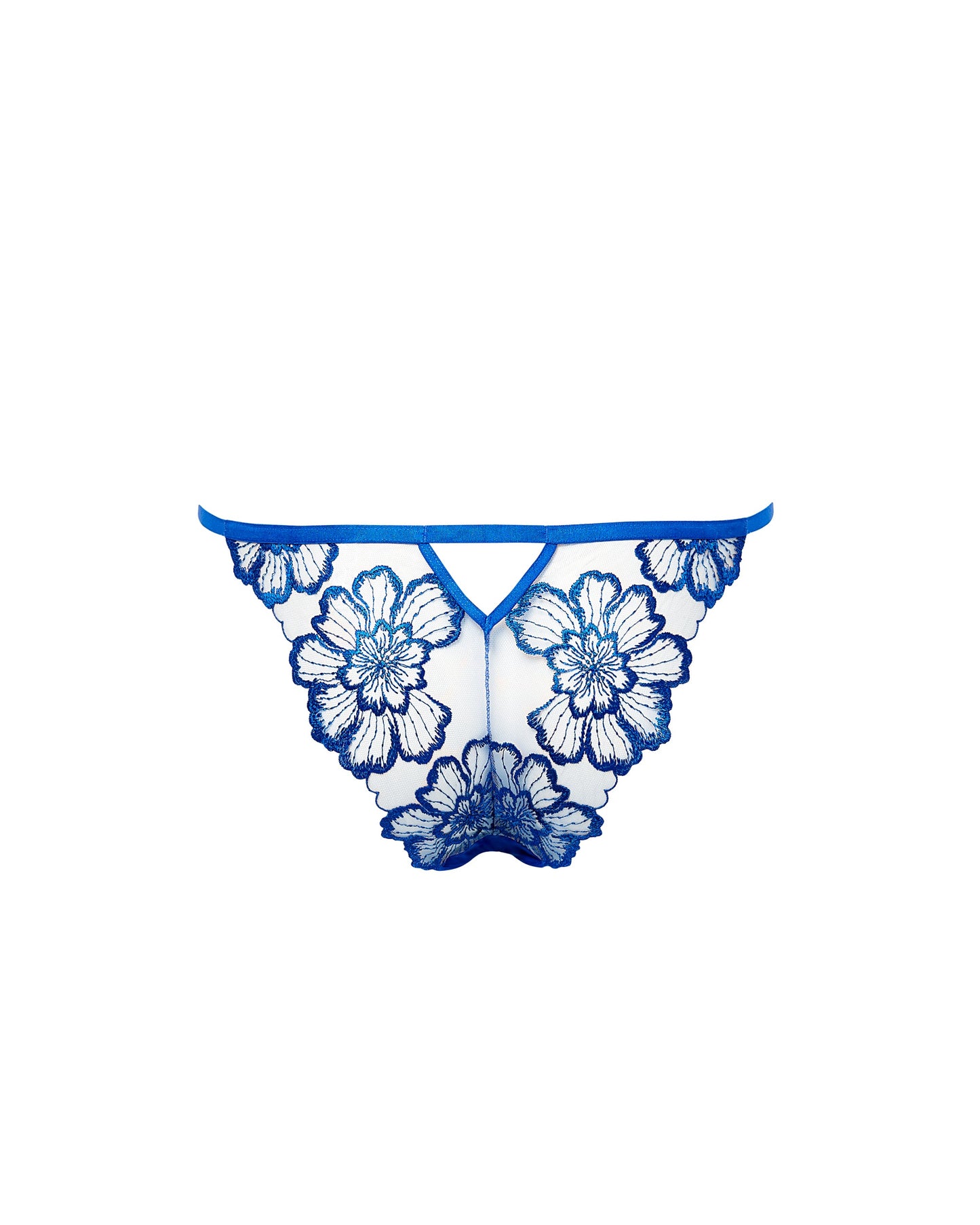 Catalina Brief