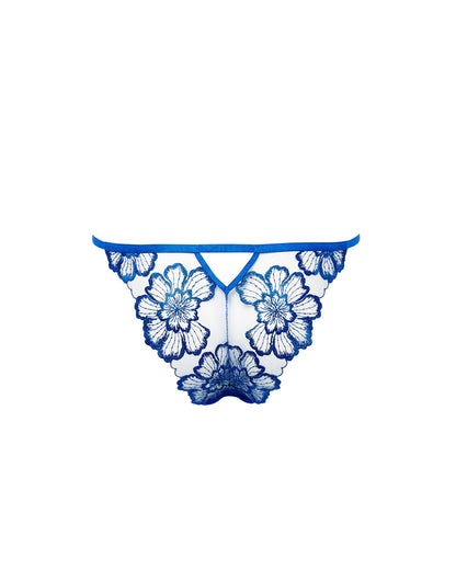 Catalina Brief