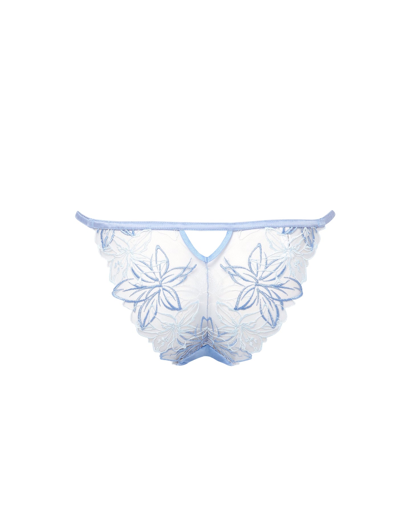Lilly Brief