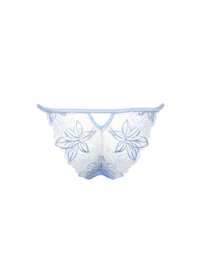 Lilly Brief
