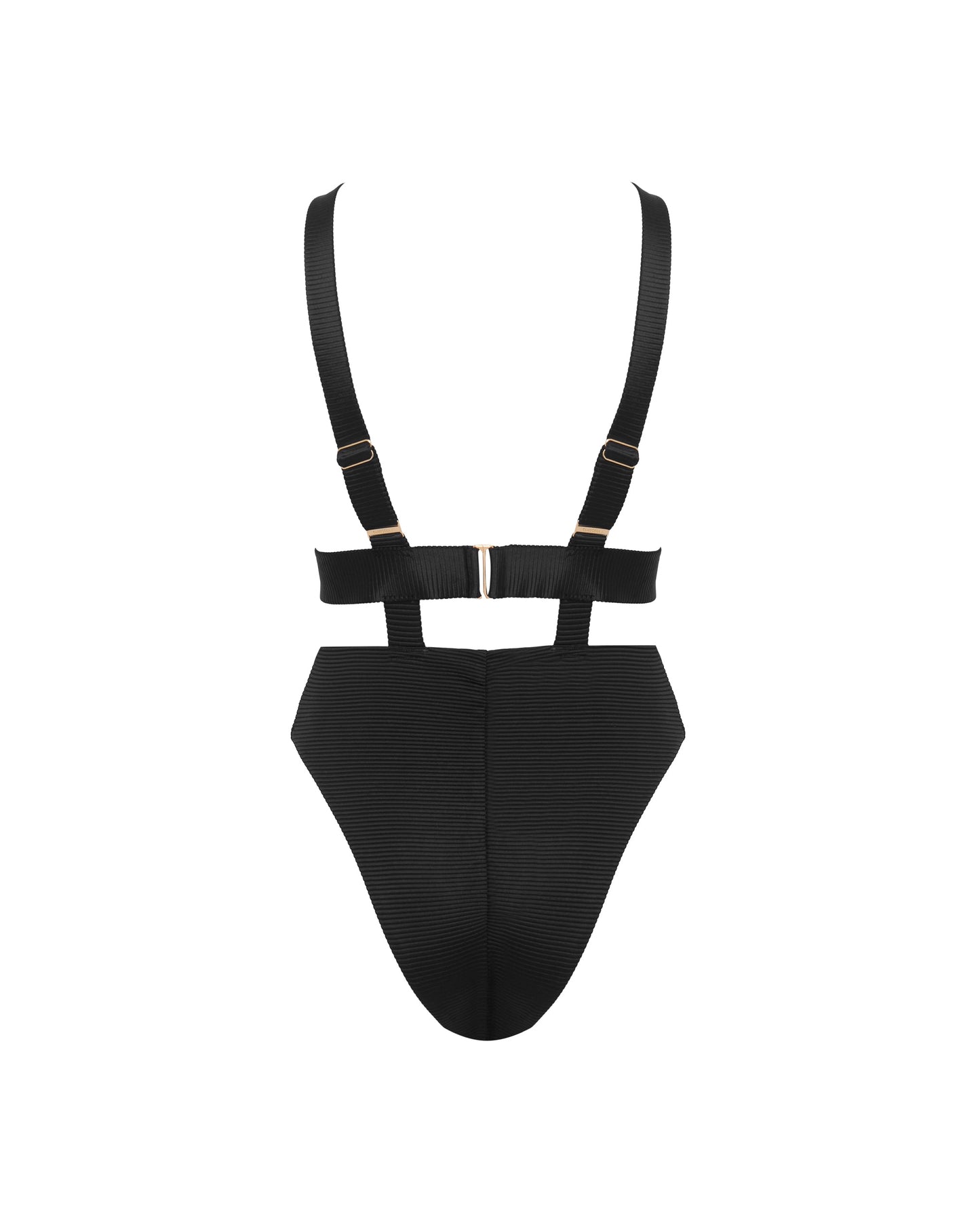 Lucerne Plunge Swimsuit