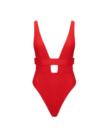 Lucerne Plunge Swimsuit