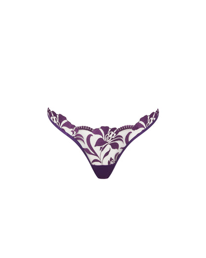 Leonora Brief