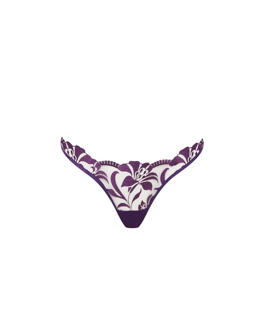 Leonora Brief