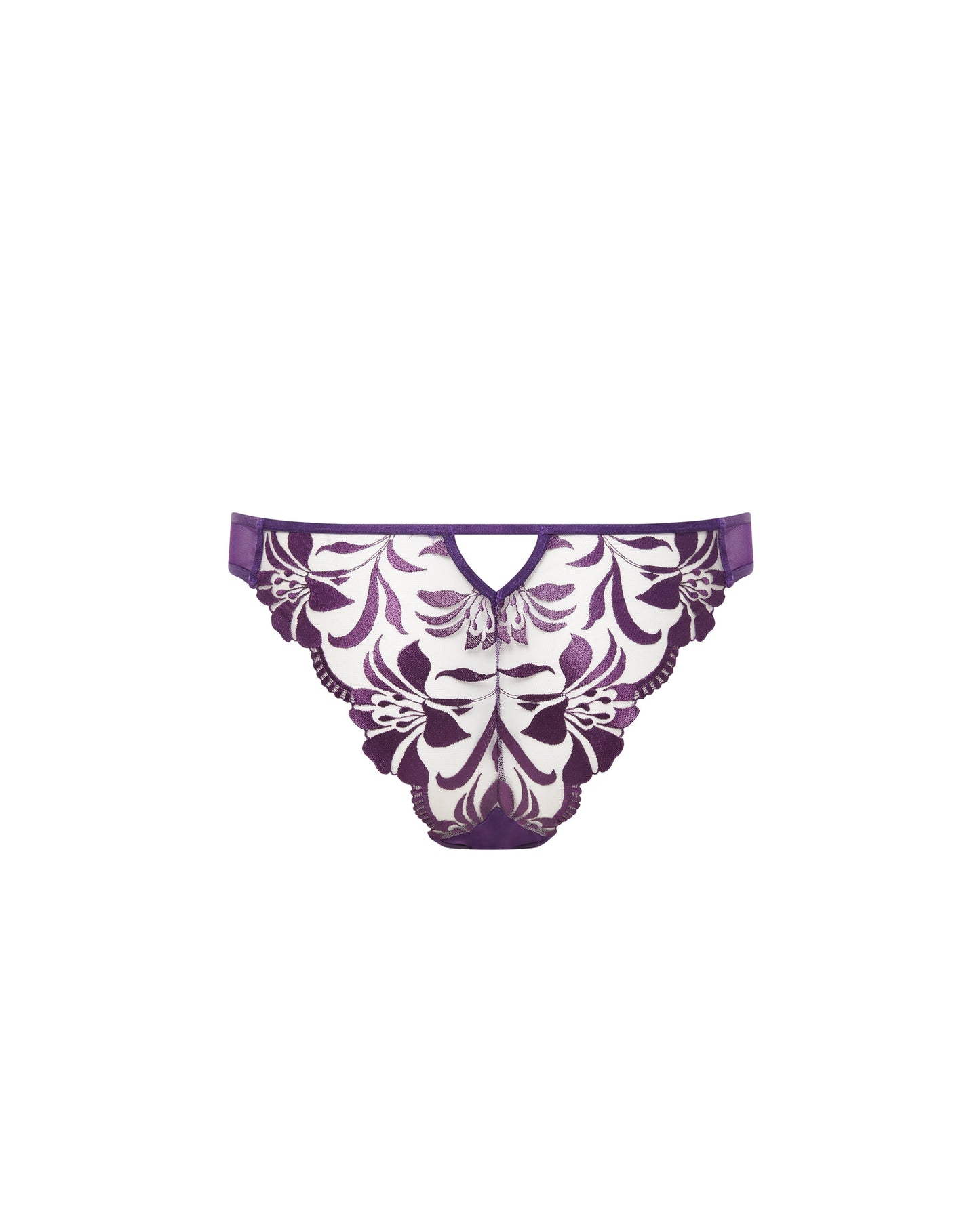Leonora Brief