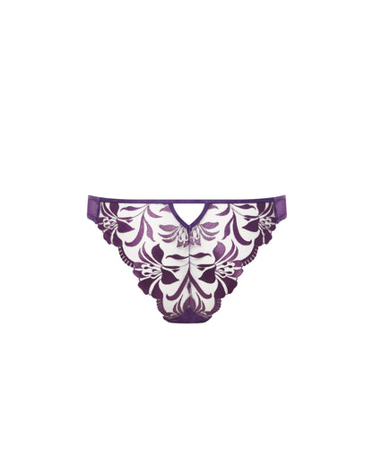 Leonora Brief