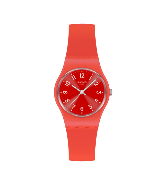 Notes Of Coral Watch
