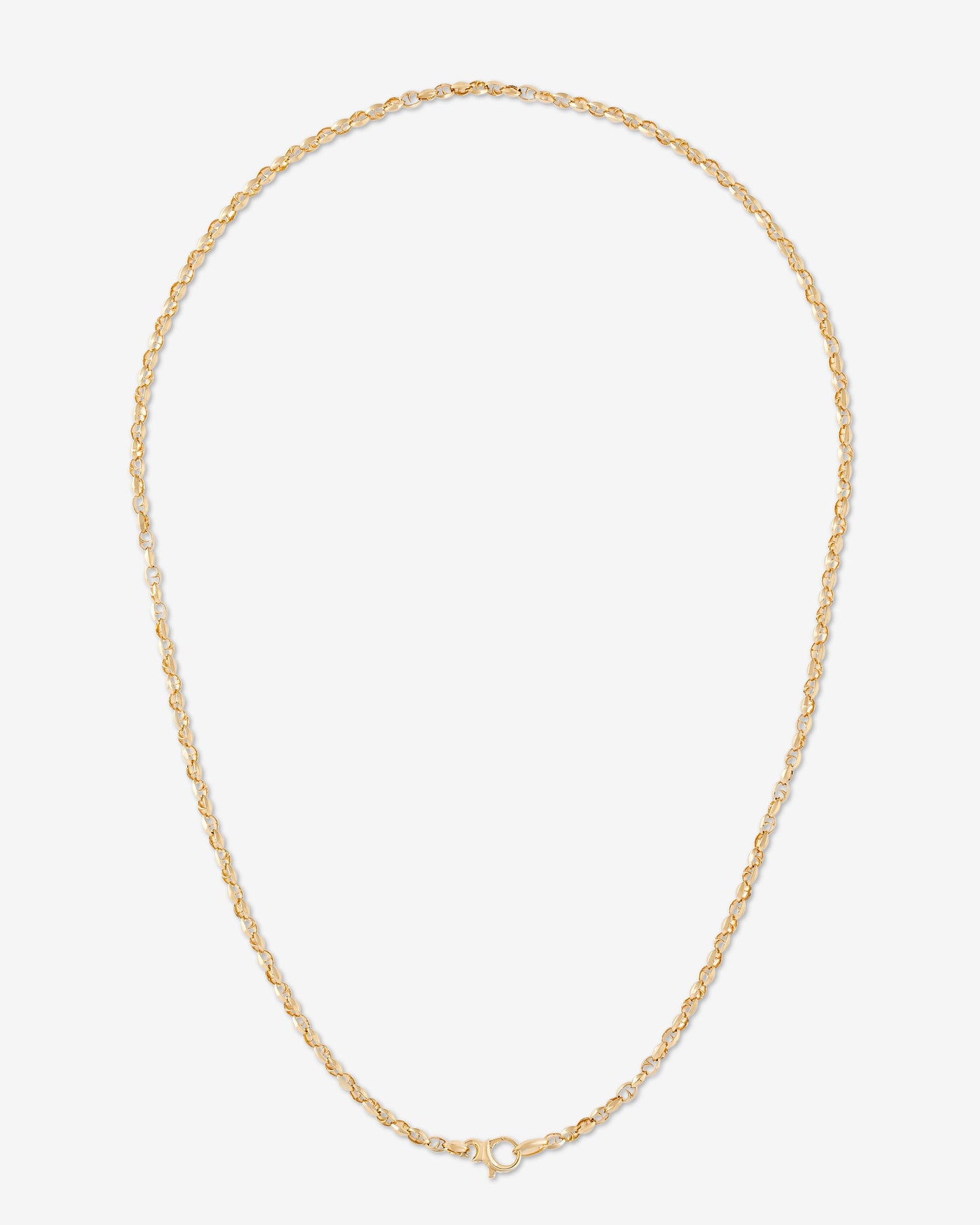 Thorn Addiction 24" Classic Medium Link Gold Chain