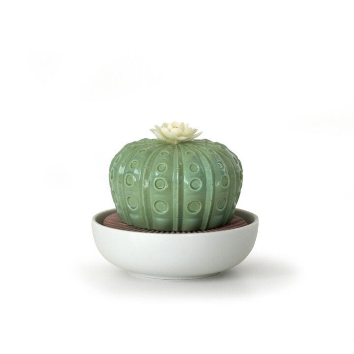 Astrophytum Cactus Diffuser - Gardens Of Valencia